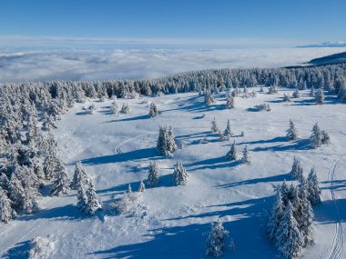 Bulgaristan 'ın Sofya Şehir Bölgesi, Vitosha Dağı' nın Hava Kış Manzarası