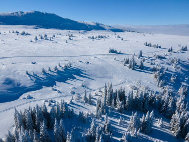 Bulgaristan 'ın Sofya Şehir Bölgesi, Vitosha Dağı' nın Hava Kış Manzarası