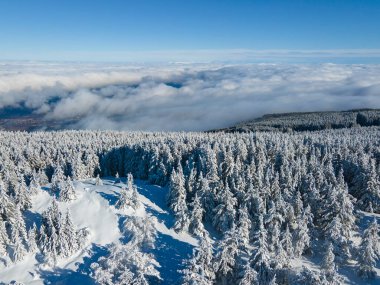 Bulgaristan 'ın Sofya Şehir Bölgesi, Vitosha Dağı' nın Hava Kış Manzarası