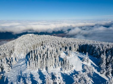 Bulgaristan 'ın Sofya Şehir Bölgesi, Vitosha Dağı' nın Hava Kış Manzarası
