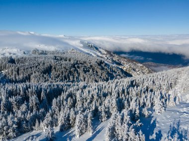 Bulgaristan 'ın Sofya Şehir Bölgesi, Vitosha Dağı' nın Hava Kış Manzarası