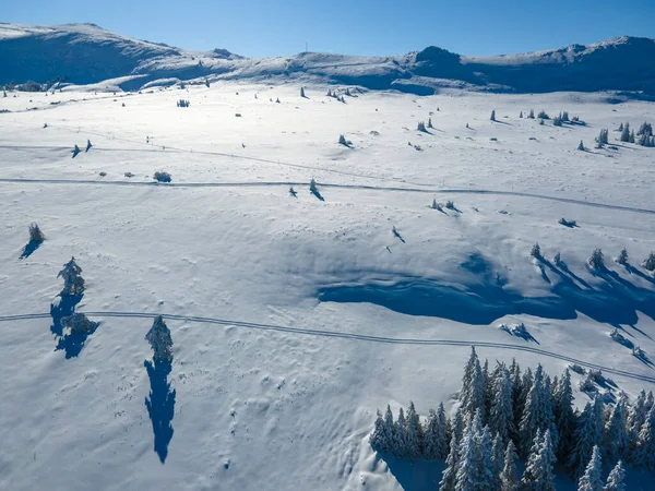 Bulgaristan 'ın Sofya Şehir Bölgesi, Vitosha Dağı' nın Hava Kış Manzarası