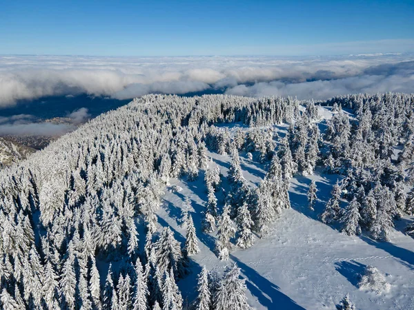 Légi Téli Kilátás Vitosha Mountain Szófia City Region Bulgária — Stock Fotó