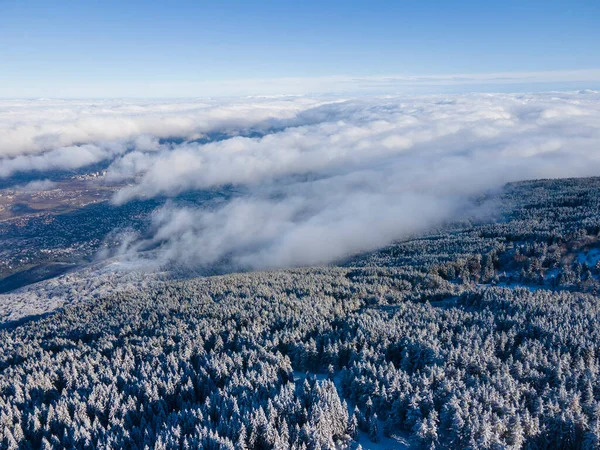 Zimowy Widok Lotu Ptaka Górę Vitosha Obwód Sofijski Bułgaria — Zdjęcie stockowe