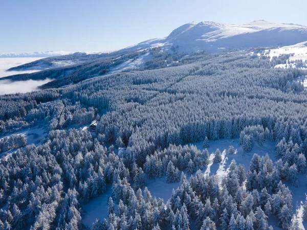 Aerial Winter View Vitosha Mountain Περιφέρεια Πόλης Της Σόφιας Βουλγαρία — Φωτογραφία Αρχείου