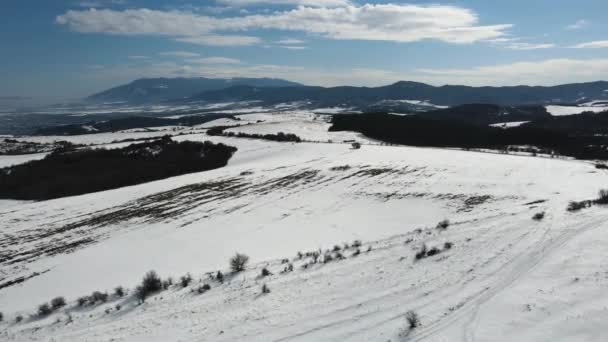 Luchtfoto Winter Uitzicht Vitosha Mountain Ofeliite Gebied Sofia City Region — Stockvideo