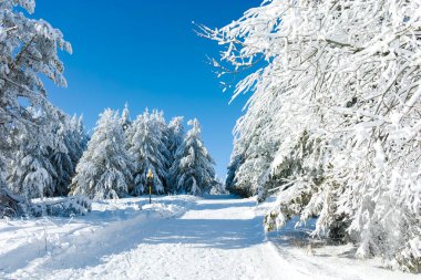 Bulgaristan 'ın Sofya Şehir Bölgesi, Vitosha Dağı' nın İnanılmaz Kış manzarası