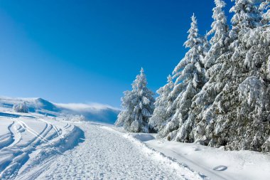 Bulgaristan 'ın Sofya Şehir Bölgesi, Vitosha Dağı' nın İnanılmaz Kış manzarası