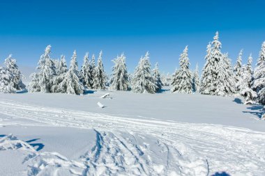 Bulgaristan 'ın Sofya Şehir Bölgesi, Vitosha Dağı' nın İnanılmaz Kış manzarası