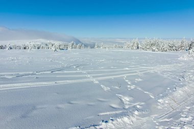Bulgaristan 'ın Sofya Şehir Bölgesi, Vitosha Dağı' nın İnanılmaz Kış manzarası