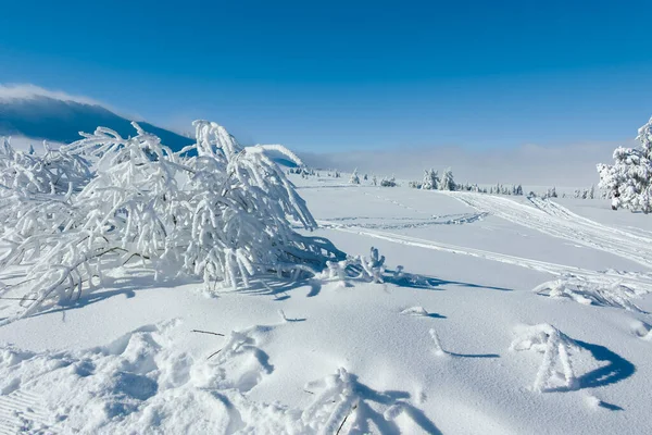 Increíble Paisaje Invierno Montaña Vitosha Región Ciudad Sofía Bulgaria — Foto de Stock