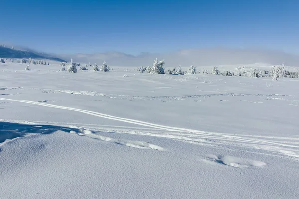 Εκπληκτικό Χειμερινό Τοπίο Του Βουνού Vitosha Περιφέρεια Της Πόλης Της — Φωτογραφία Αρχείου