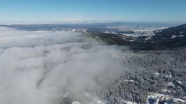 Vista Aérea Invierno Montaña Rila Cerca Estación Esquí Borovets Región — Vídeos de Stock