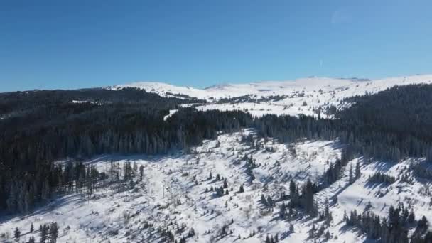 Aerial Winter View Vitosha Mountain Ofeliite Area Sofia City Region — Stock Video