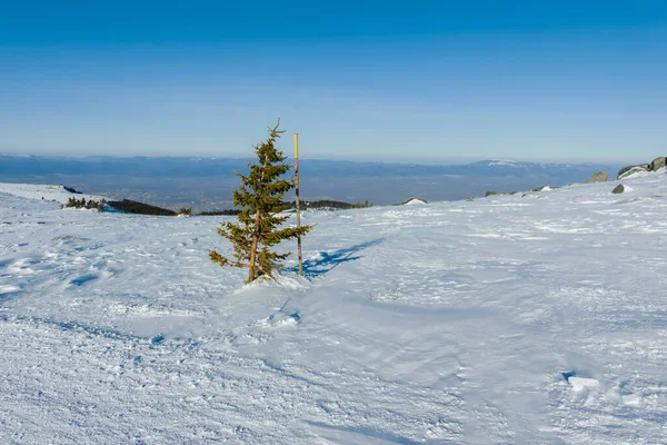 Téli Kilátás Vitosha Mountain Közelében Cherni Vrah Csúcs Szófia Város — Stock Fotó