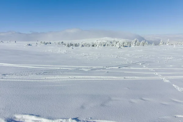 保加利亚索菲亚市维多沙山冬季奇景 — 图库照片