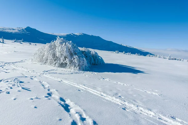 Niesamowity Zimowy Krajobraz Góry Vitosha Obwód Sofijski Bułgaria — Zdjęcie stockowe