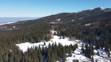 Bulgaristan 'ın Buzdan Pazardzhik Bölgesi ile kaplı Shiroka polyana' nın (geniş çayır) kış manzarası