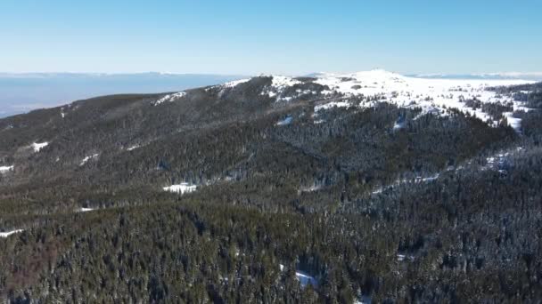 Flygfoto Vinter Utsikt Över Vitosha Mountain Vid Ofeliite Område Sofia — Stockvideo