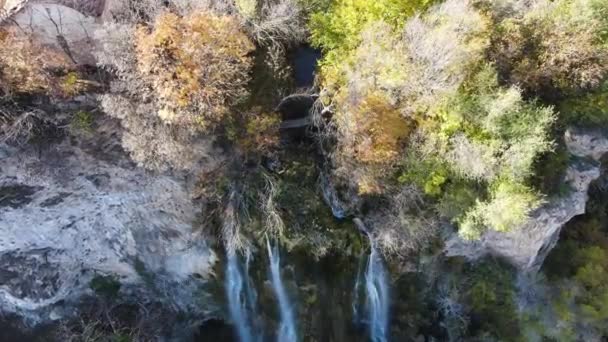 Vista Aérea Otoño Cascada Polska Skakavitsa Montaña Zemen Región Kyustendil — Vídeos de Stock