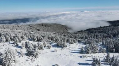 Bulgaristan 'ın Sofya Şehir Bölgesi, Vitosha Dağı' nın Hava Kış Manzarası