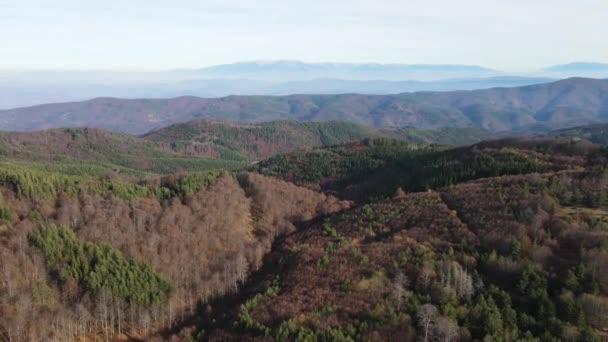 Luftaufnahme Des Osogovo Gebirges Kyustendil Gebiet Bulgarien — Stockvideo