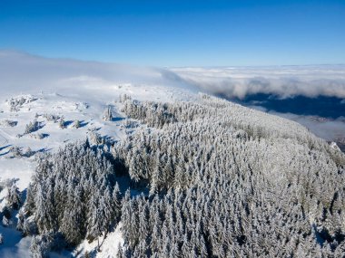 Bulgaristan 'ın Sofya Şehir Bölgesi, Vitosha Dağı' nın Hava Kış Manzarası