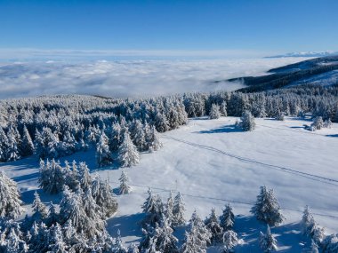 Bulgaristan 'ın Sofya Şehir Bölgesi, Vitosha Dağı' nın Hava Kış Manzarası