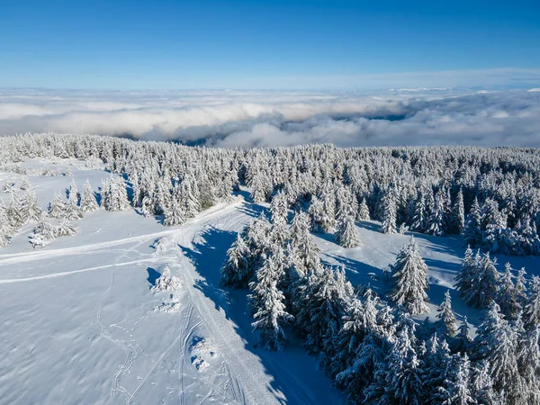 Légi Téli Kilátás Vitosha Mountain Szófia City Region Bulgária — Stock Fotó