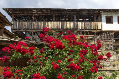 Bulgaristan 'ın Blagoevgrad Bölgesi, Otantik 19. yüzyıl evleriyle Kovaçevitsa köyü