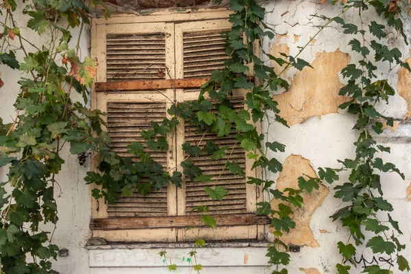 テッサロニキ ギリシャ 2019年9月22日 ギリシャの中央マケドニア テッサロニキのAno Poli Upper Town の典型的な通りと建物 — ストック写真