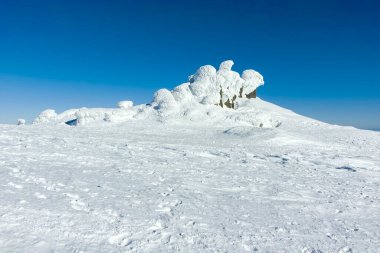 Bulgaristan 'ın Sofya kentinin Cherni Vrah zirvesi yakınlarındaki Vitosha Dağı' nın kış manzarası