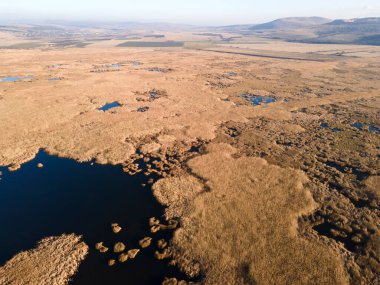 Bulgaristan 'ın Sofya bölgesindeki Dragoman bataklığının havadan sonbahar manzarası