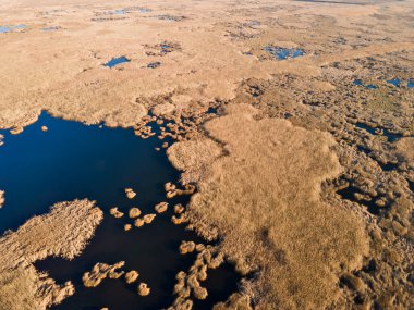 Bulgaristan 'ın Sofya bölgesindeki Dragoman bataklığının havadan sonbahar manzarası