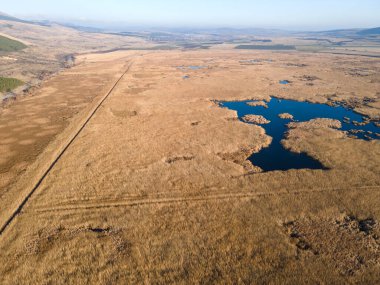 Bulgaristan 'ın Sofya bölgesindeki Dragoman bataklığının havadan sonbahar manzarası