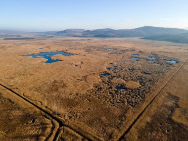 Bulgaristan 'ın Sofya bölgesindeki Dragoman bataklığının havadan sonbahar manzarası