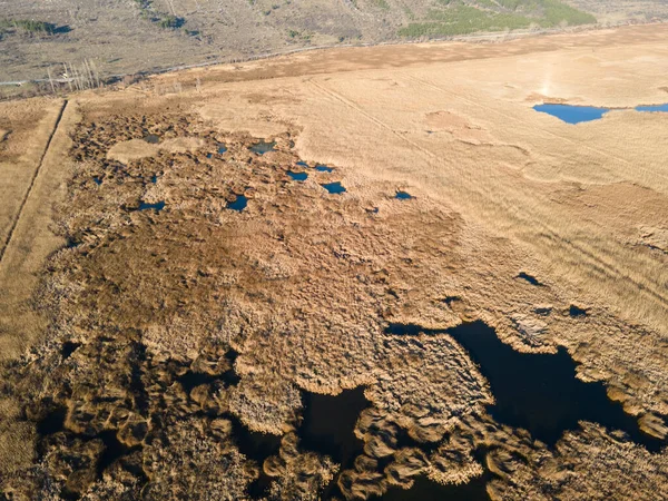 Bulgaristan 'ın Sofya bölgesindeki Dragoman bataklığının havadan sonbahar manzarası