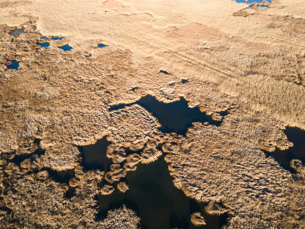 Bulgaristan 'ın Sofya bölgesindeki Dragoman bataklığının havadan sonbahar manzarası