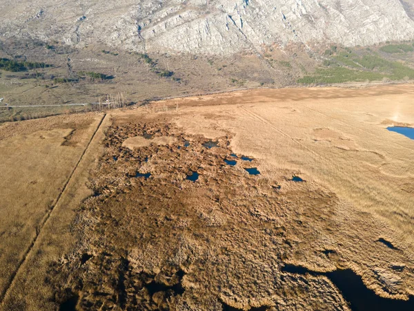 Bulgaristan 'ın Sofya bölgesindeki Dragoman bataklığının havadan sonbahar manzarası