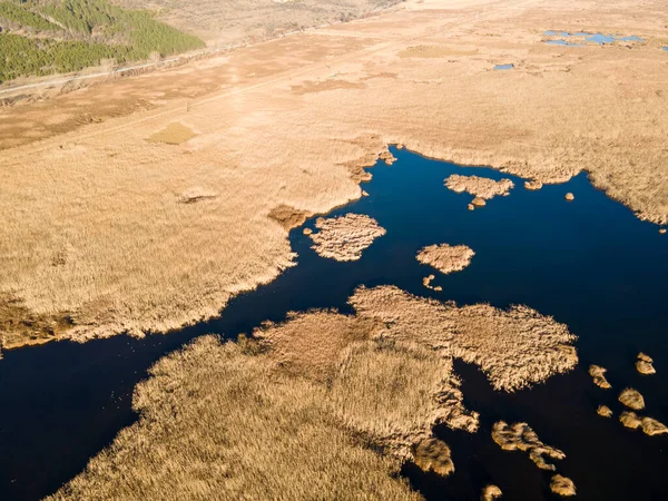 Bulgaristan 'ın Sofya bölgesindeki Dragoman bataklığının havadan sonbahar manzarası