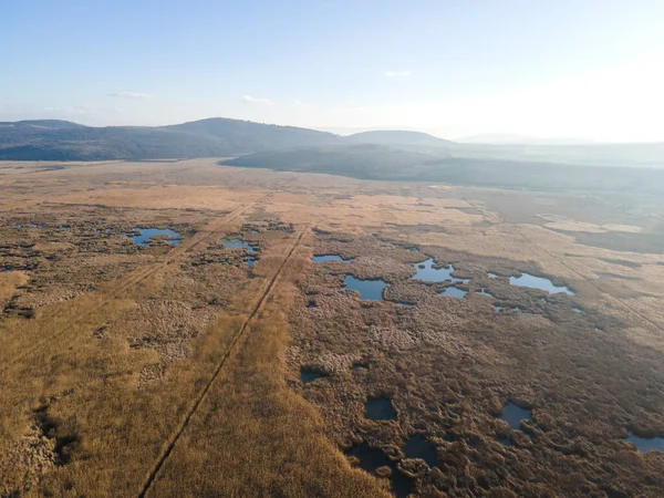 Bulgaristan 'ın Sofya bölgesindeki Dragoman bataklığının havadan sonbahar manzarası