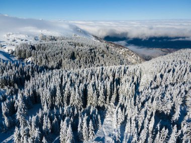 Bulgaristan 'ın Sofya Şehir Bölgesi, Vitosha Dağı' nın Hava Kış Manzarası