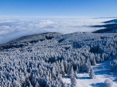Bulgaristan 'ın Sofya Şehir Bölgesi, Vitosha Dağı' nın Hava Kış Manzarası
