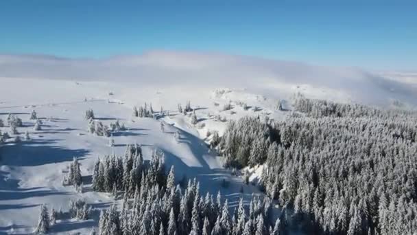 ブルガリア ソフィア市ヴィトシャ山の空中冬景色 — ストック動画