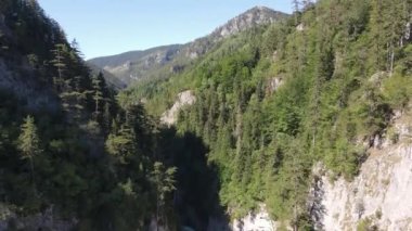 Bulgaristan 'ın Smolyan Bölgesi, Rodop Dağları' ndaki Trigrad Boğazı 'nın hava manzarası