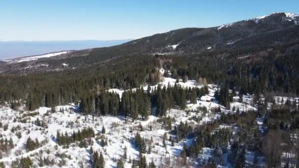 Flygfoto Vinter Utsikt Över Vitosha Mountain Vid Ofeliite Område Sofia — Stockvideo