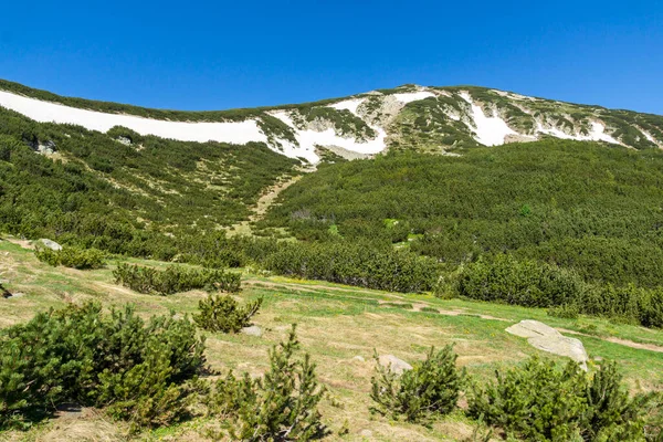 Paysage Estival Incroyable Montagne Pirin Près Lac Popovo Bulgarie — Photo