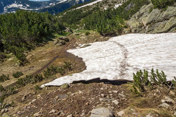 Increíble Paisaje Verano Montaña Pirin Cerca Del Lago Popovo Bulgaria —  Fotos de Stock