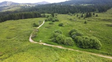 Konyarnika bölgesinin hava manzarası ar Vitosha Dağı, Sofya Şehir Bölgesi, Bulgaristan