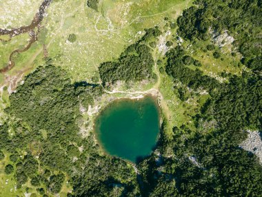 Bulgaristan 'ın Pirin Dağı' ndaki Banderitsa Nehri Vadisi 'nin şaşırtıcı hava manzarası